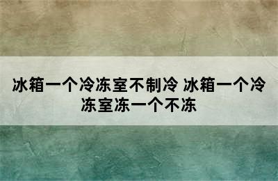 冰箱一个冷冻室不制冷 冰箱一个冷冻室冻一个不冻